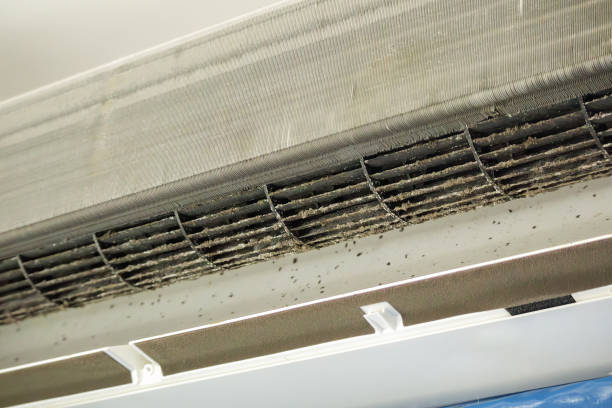 Best Affordable Duct Cleaning Services  in North Tustin, CA